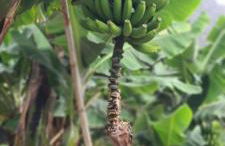 CASA RURAL ANTIGUA ESCUELA I - Foto 9