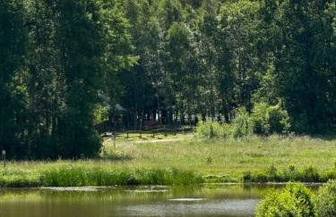 Krecia Dolina - Kaszubskie Wzgórza - Foto 26