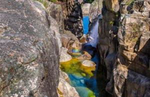 Ares Vieira - Foto 40