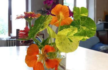 Les hirondelles - Foto 27