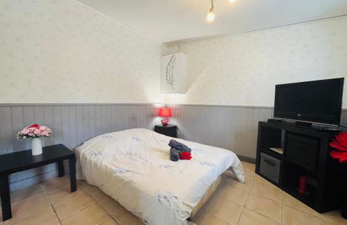 Le petit studio - 1 chambre - Gites Montvaltin - Foto 12
