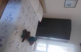 Villa Franić - Photo 27