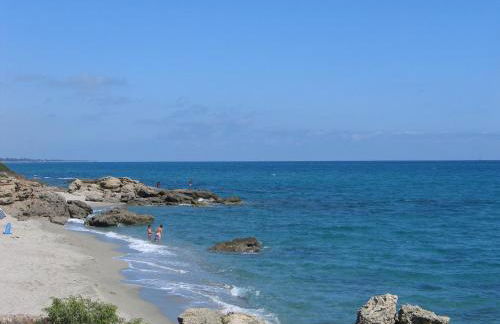 Le Clos des Arbousiers - Foto 49