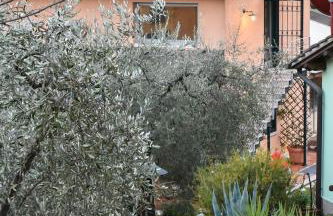 Agriturismo L'Arte del Verde - Foto 32