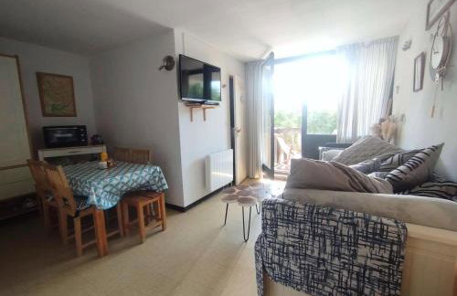 Résidence Aurans - Joli deux pièces au cœur de la station de Réallon 002A MAE-4863 - Photo 3