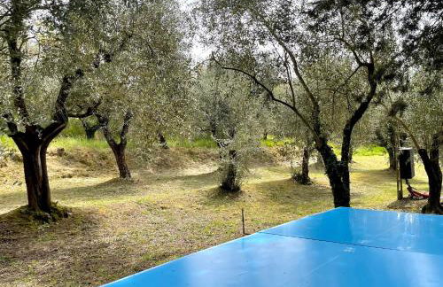 Agriturismo, Casa Borgo - Foto 52