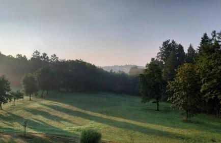 Forsthaus Hausbach Ferienwohnung Reh - Foto 16