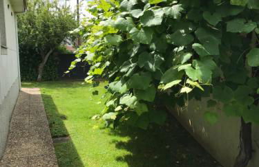 Casa Otilia - Rural - Camino de Santiago - Arzúa - Foto 44