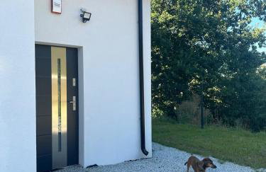 Willa Daisy - Foto 20