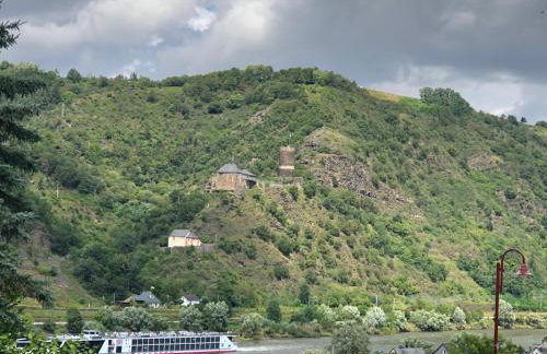 Moselburgblick - Foto 19