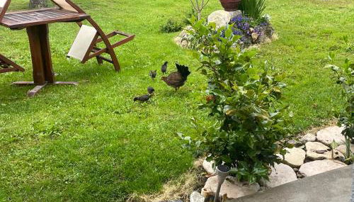 Le Repère des Ducs - Logement T2 au calme, proche Agen - Foto 2, Garden