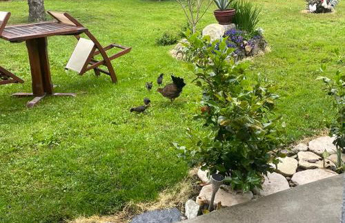 Le Repère des Ducs - Logement T2 au calme, proche Agen - Foto 2