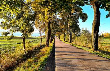 Przystań Natura - Foto 63
