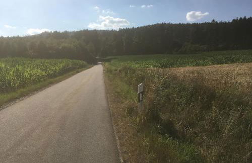 Idyllisches Häuschen im Grünen - Foto 19