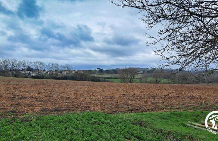 L'esquirou - Foto 27