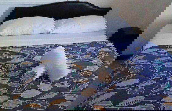 Town House Apartment Hotels Suva - Foto 12