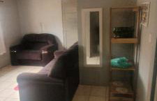 Toca dos Gatos - Foto 24