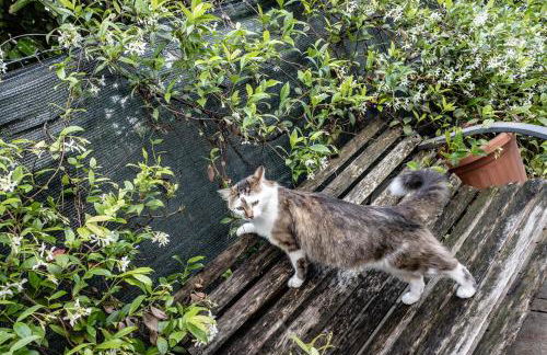 Case Appartamenti Vacanze Da Cien - Foto 75