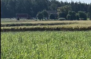 Sky Ranch 1 BR - Foto 21