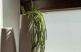 Die Nummer eins - Ferienwohnungen Hufnagel - Foto 30