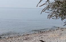 Δίπλα στο κύμα -Βeside the wave - Photo 46