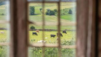 2 Bed in Brassington oc-dcrail - Foto 5, Other