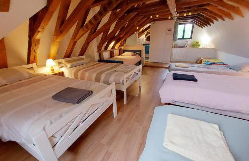 Le plessis aux oiseaux, jusqu'à 14 personnes - Photo 40