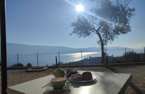 Agriturismo L'Uliveto - Foto 62