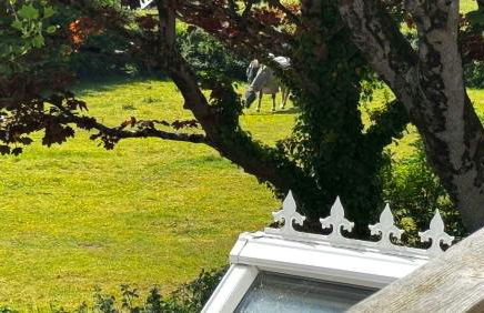 BISHOPS TAWTON OVERTON HOUSE 2 Bedrooms - Foto 30