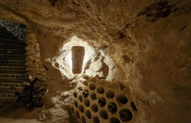 El Granero de Manzanares - Foto 23