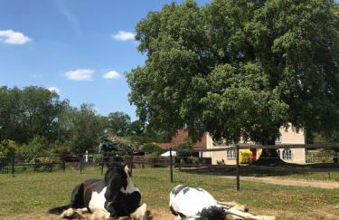 Grade II Listed Farmhouse, Pool, Hot Tub, Games Room, Celebration Hall, Car Park, 10ppl, 45 min from Central London - Foto 31