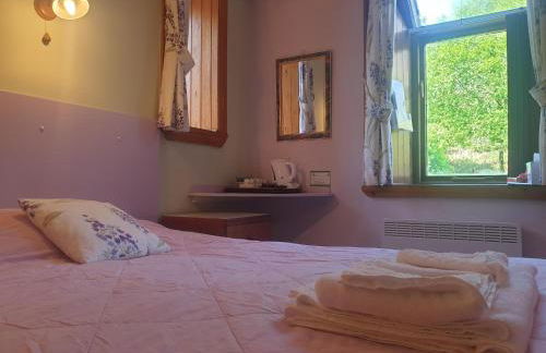 Bryn Elltyd Eco House - Foto 69