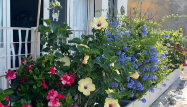 CasAnima vista incantevole vicino Taormina - Foto 5