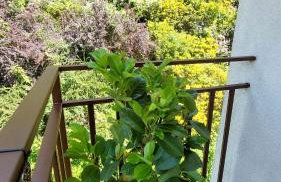 Apartament Międzygórski - Foto 15