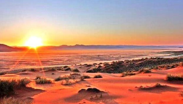 Previsioni meteo per Dubai Desert - Foto 2, safari nel deserto al mattino presto