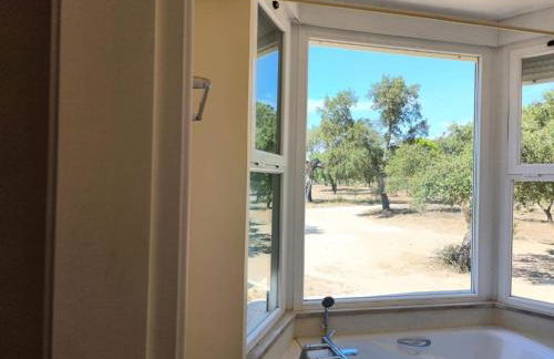 Herdade do Montinho - Foto 3