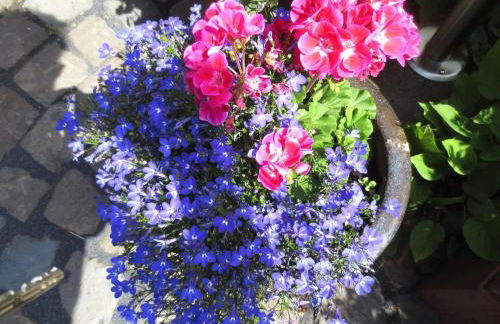 charmante Erdgeschosswohnung in Daun - Photo 30