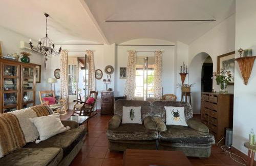 Finca Olivo Llorón - Foto 18