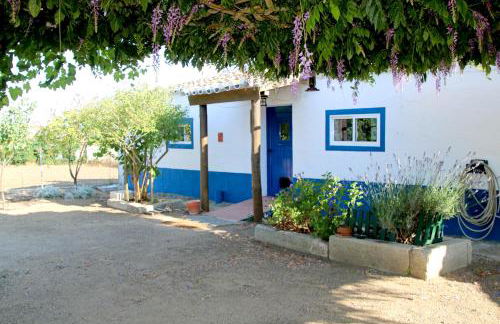 Monte da contenda - Foto 1