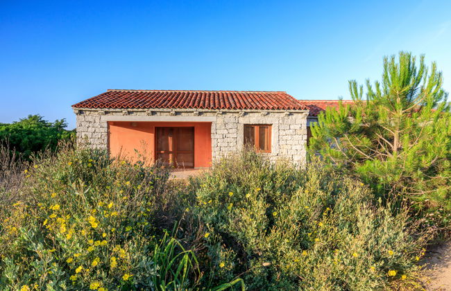 Mare di Ginepri (BAD115) - Foto 22