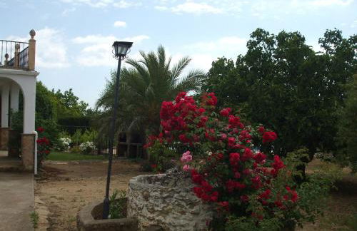 Casa Crisal - Foto 8