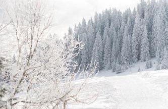 La Ferme des Lombardes by Casalero - Photo 19