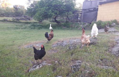 Apartamentos Rurales Ecopangea - Foto 26