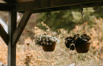 Na Górce Zamkowej - Foto 8