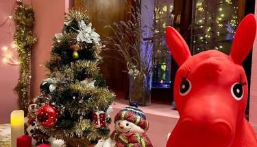 Villa Oleandra with Garden&Swimming pool - Foto 2