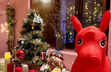 Villa Oleandra with Garden&Swimming pool - Foto 2