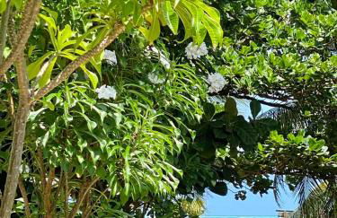 Casa de Praia em Japaratinga-AL - Foto 18