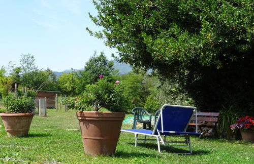 Agriturismo la Fattoria al Crocefisso - Foto 3