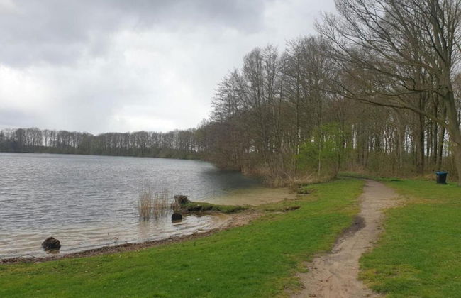 Lodge in Drenthe With Scenic Veranda - Foto 39