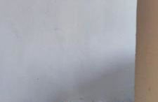 Le Pas du Loup - Photo 78